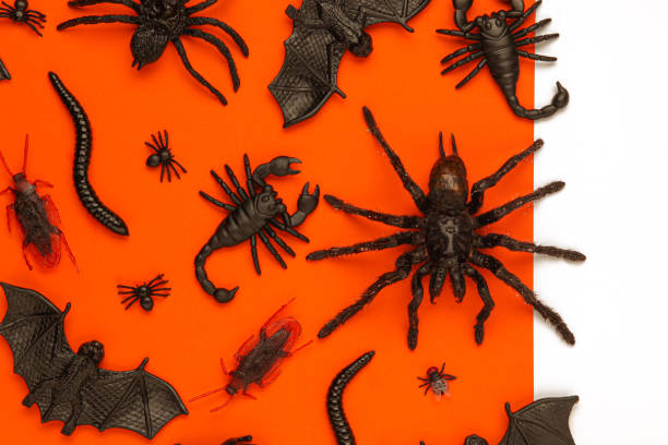 istock Black Halloween creepy crawly bugs and spiders on orange background with blank white space for text or image 1180848523