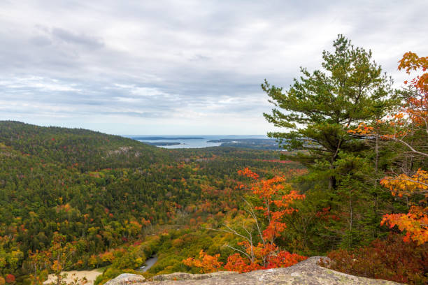 istock Fall foliage and distant islands as seen from the Beech Mountain trail 1180848706