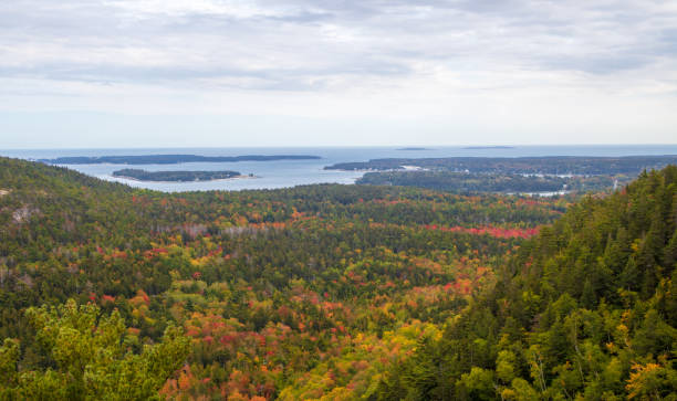 istock Colorful foliage and islands on a cloudy day 1180848707