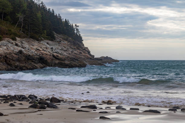 istock Pine trees grow about the rocks at Sand Beach 1180850291