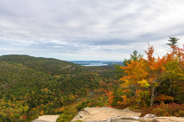 istock Fall foliage and the distant sea on a cloudy day 1180850485
