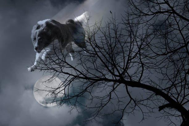 image of a warewolf jumping from the sky at the moony light night