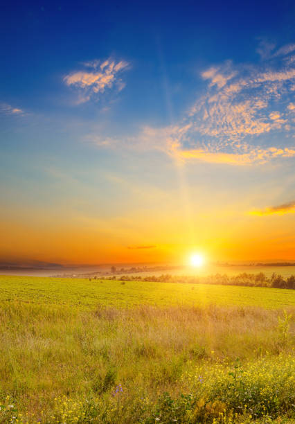 ampio paesaggio di campo verde - grass summer day sunset foto e immagini stock