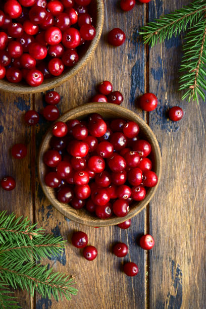 istock Fresh ripe cranberries in a wooden bowls 1180852891