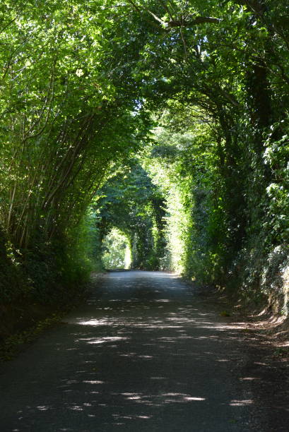 istock Dorset Countryside - Late Summer 1180856455