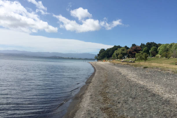 istock Deserted pristine new zealand beach lined with hills and forest 1180856725
