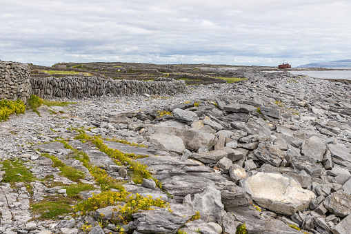 Trail to Plassey shipwreck and rocks wall in Inisheer Island, Galway, Ireland