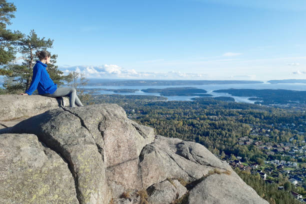 Panoramic view to Oslo Fjord from Kolsåstoppen mountain in early autumn. Kolsåstoppen is a popular hiking area well-known for its spectacular panoramic views of Oslo, Bærum, and the Oslo Fjord. norway autumn oslo tree stock pictures, royalty-free photos & images