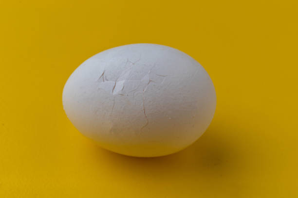istock macro of the egg skin or shell surface with a small crack on it 1180858142
