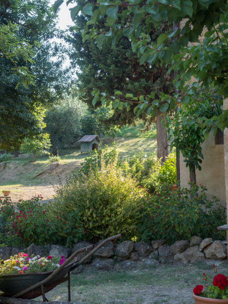 istock country life in italy 1180858192