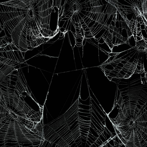 istock Real spooky spider webs hanging together to make a frame. Halloween background. 1180858293