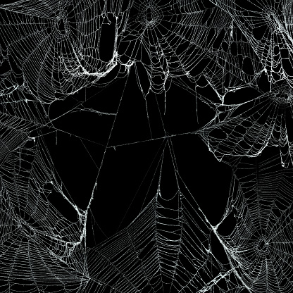 Real spooky spider webs hanging together to make a frame. Halloween background.