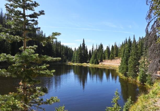 istock Lake in the Woods 1180859068
