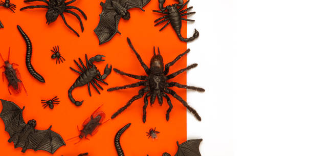 istock Black Halloween creepy crawly bugs and spiders on orange background with blank white space for text or image 1180862388