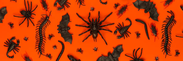 Black Halloween creepy crawly bugs and spiders on orange background