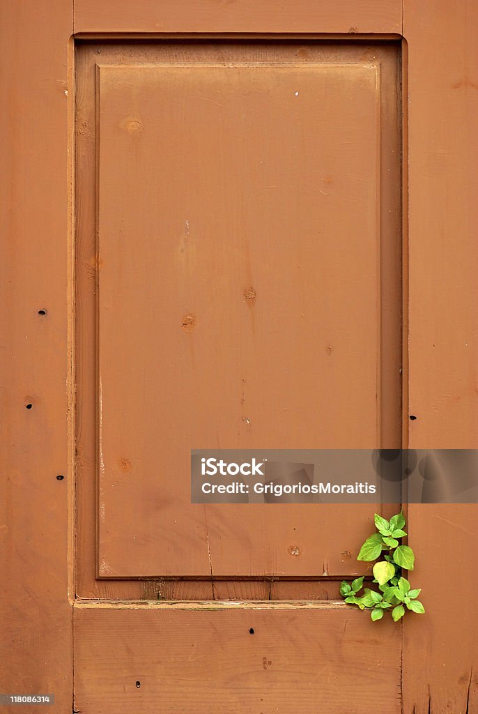 Stare drzwi – świeże rośliny - Zbiór zdjęć royalty-free (Architektura)