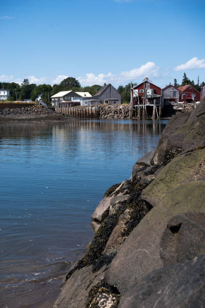 istock Fishing village from the sea wall 1180863315