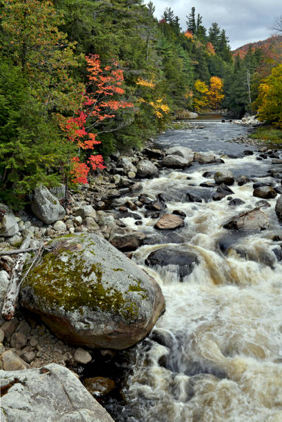 istock Fall foliage in the Adirondack Mountains, New York State, USA 1180863580