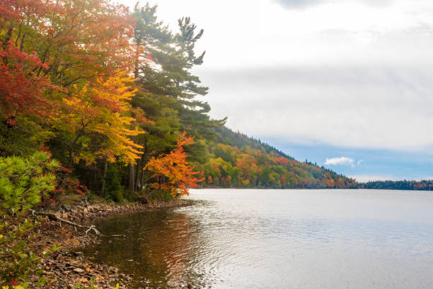 istock Fall foliage near Jordan Pond 1180864184
