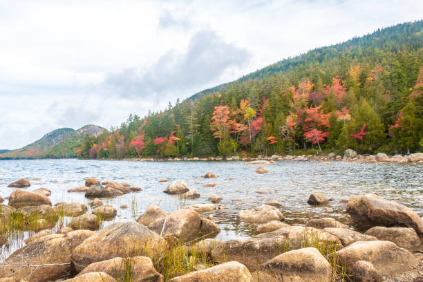 istock Small rocks and fall foliage around Jordan Pond 1180865064