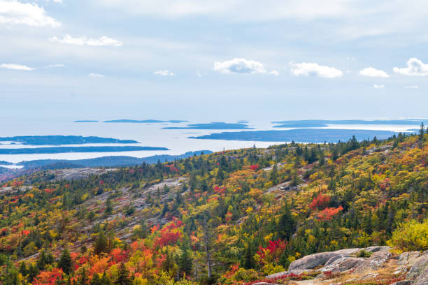 istock Islands and clouds differentiate where the sky meets the sea beyond the vibrantly colored forest 1180867613