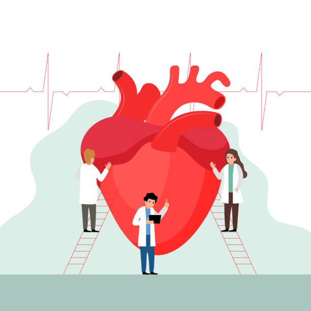 badania serca lub pojęcie diagnotyczne. lekarze badający serce. płaski styl. ilustracja wektorowa. - cholesterol atherosclerosis human artery illness stock illustrations