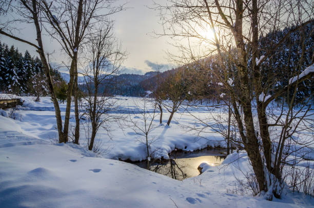 istock Beautiful winter landscape with river and snow on the trees 1180869305