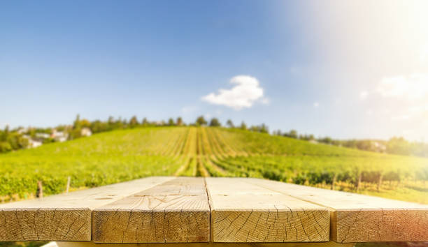 istock Wooden flat Tabletop against vineyard hill in late summer 1180878654