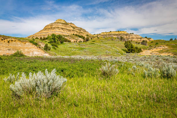 istock Theodore Roosevelt National Park North Unit 1180887693