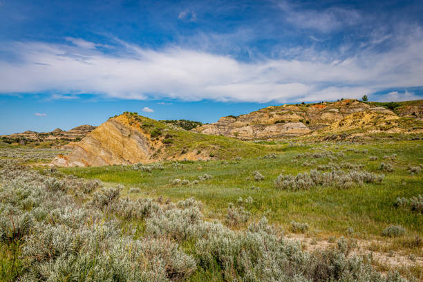 istock Theodore Roosevelt National Park North Unit 1180888234