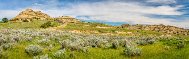 istock Theodore Roosevelt National Park North Unit 1180888794