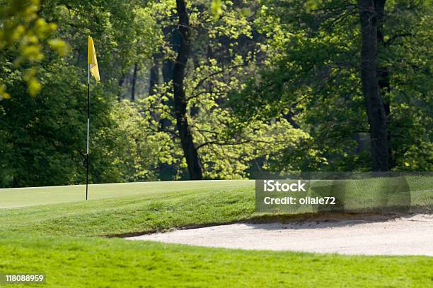 Campo Da Golf Dettaglio Immagine A Colori - Fotografie stock e altre immagini di Albero - Albero, Ambientazione esterna, Bandiera