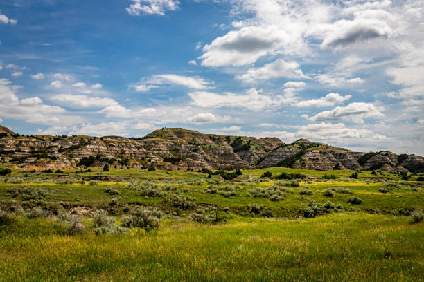 istock Theodore Roosevelt National Park North Unit 1180889780