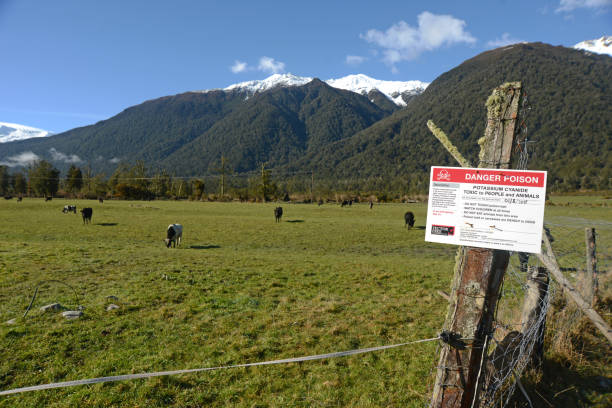 beware of cyanide on the farm GREYMOUTH, NEW ZEALAND, SEPTEMBER 25, 2019: Signage warns people that Potassium Cyanide has been spread in baits to kill possums on the West Coast of New Zealand. possum nz stock pictures, royalty-free photos & images