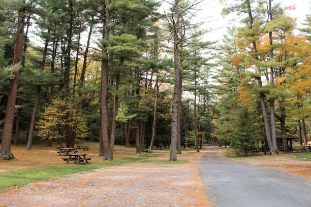 istock Picnic tables in park surrounded by fall foliage 1180893825