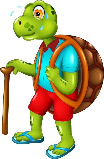 ilustrações, clipart, desenhos animados e ícones de desenhos animados engraçados da tartaruga verde - cute animal asia brown