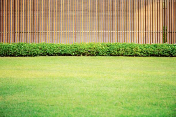 istock Lawn in garden. 1180898576
