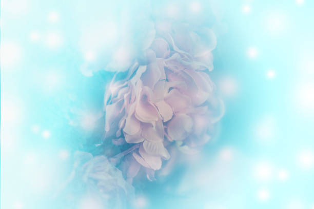 istock Beautiful Flowers Background 1180904789