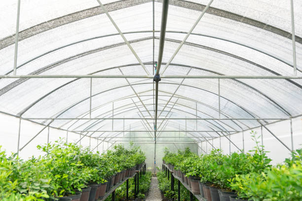 istock Nursery and tree farms the Insect protection 1180905270
