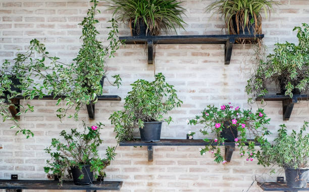 istock garden tools and small tree pots on wood shelf background 1180906476