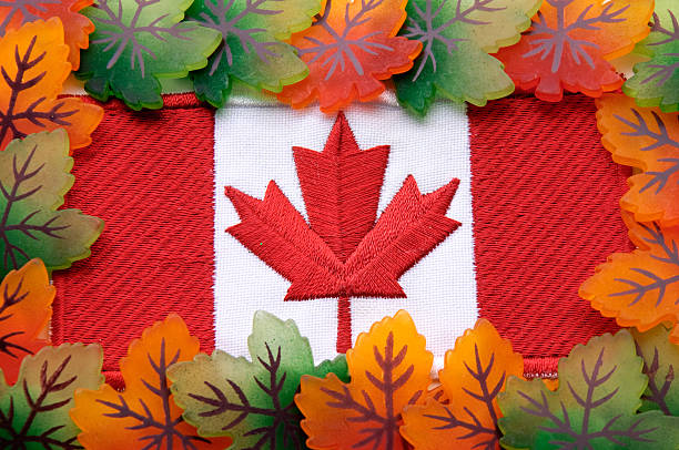 istock Canadian Flag & Leaves 118091500