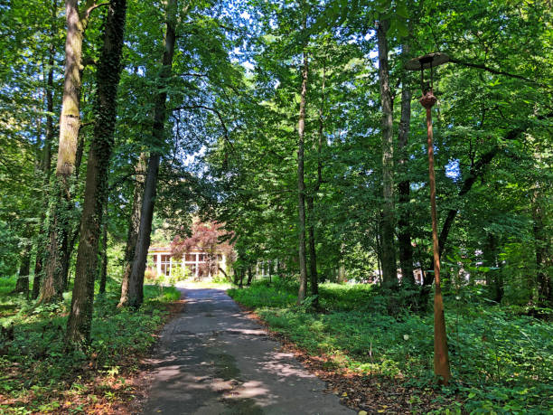 istock park - Bozjakovina, Croatia 1180915454