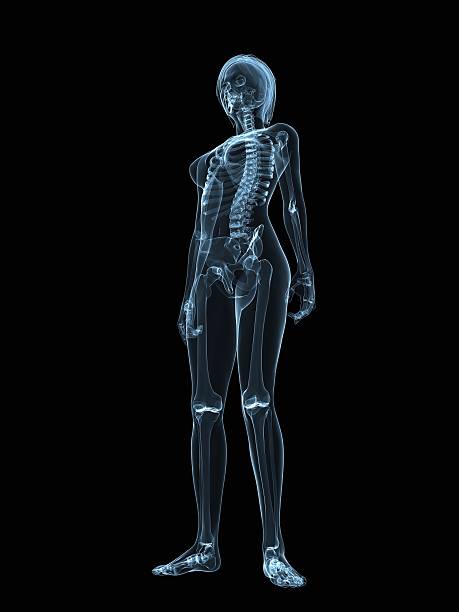 istock transparent female body 118091578