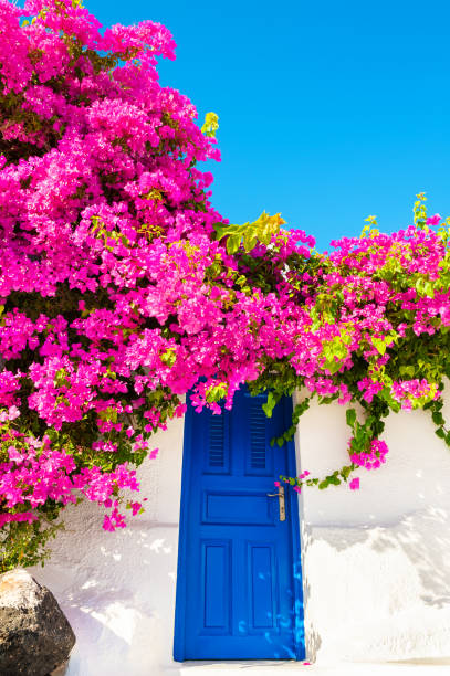 istock Traditional greek architecture on Santorini island, Greece. 1180919102