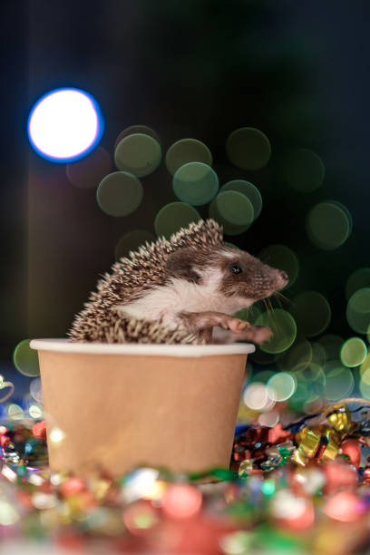 istock Christmas card with a cute little hedgehog. 1180920322