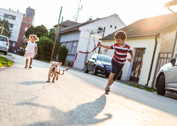 istock We are best friends! 1180921642