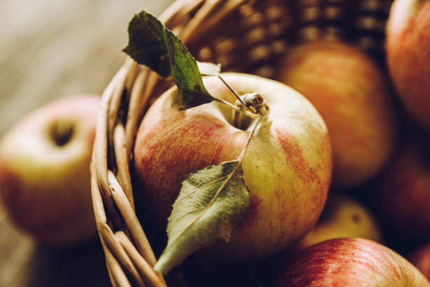 istock Freshly harvested ripe apple on the rustic wooden background 1180922062