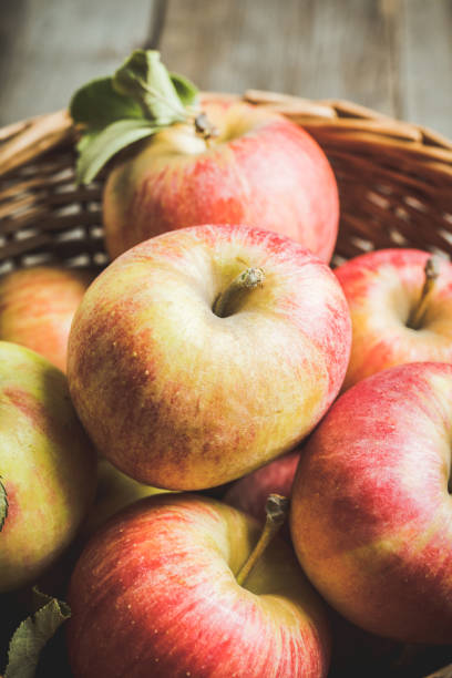istock Freshly harvested ripe apple on the rustic wooden background 1180922092