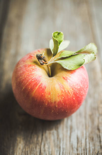 istock Freshly harvested ripe apple on the rustic wooden background 1180922124