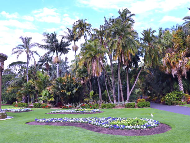istock Park in Sydney Gardens on a spring afternoon 1180925249